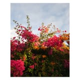 ResizedImage_(1759)x(1759)_2025-05-21_22-11-17_4924
