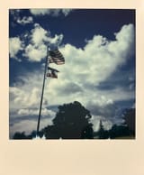 IMG_4461