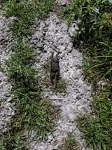 IMG_20250522_225055