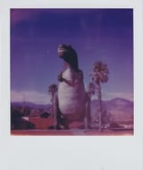 Scan 11