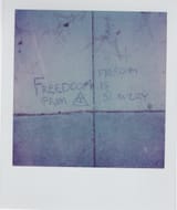 Freedom