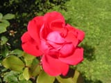 PICT0007