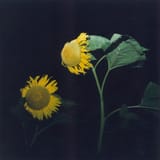 utatane_08_L-600x600