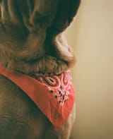 IMG_2891 2