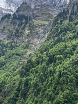IMG_2821
