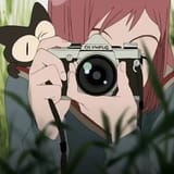 Thread 4431185 OP Image