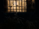 DSCF5591