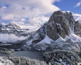 AssiniboineSnow