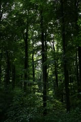 DSC_5881_01