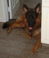 DSCF0020