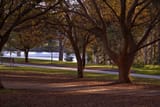 IMG_0153_v1_copy