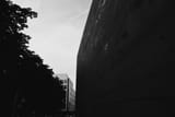 _DSC0811