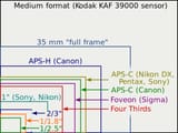 sensor size