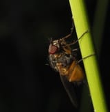 5131566_cr