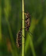 P1010719_01