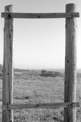 scan0019_01