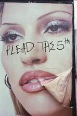 plead the 5th