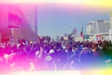 crowd