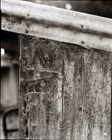 Untitled (8)