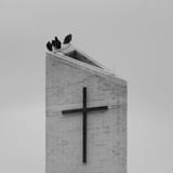 IMG17205