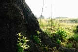 DSCF0725