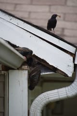 IMG17627