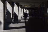 _DSC0310