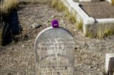 IMGP4014