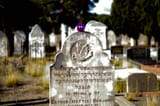 IMGP4012