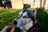 25-04-18-DSC_0745