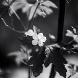 IMG_3197