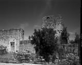 Image_0017