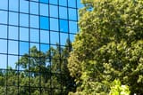 Everything is a Mirror