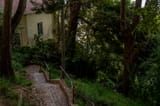 DSC03595
