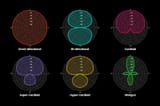 different-types-of-polar-pattern