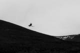 _DSC0473-1