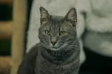 DSC05209