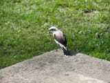 IMG_0057 2