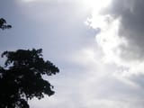 P1010050