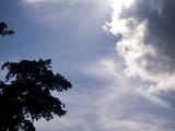 P1010049