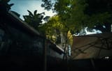 Jardin1