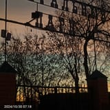 IMG_20241030_071813_283