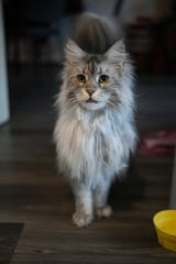 DSC04099