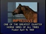 Impressive_One_of_the_Greatest_Quarter_Horses_of_All_Time