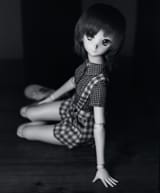 DSC_6541 (2048)