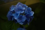 DSC00285_04