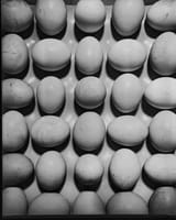 20250625_165213 (1)
