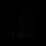 DSCF0614