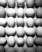 Untitled (11)