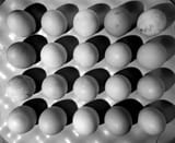 Untitled (12)